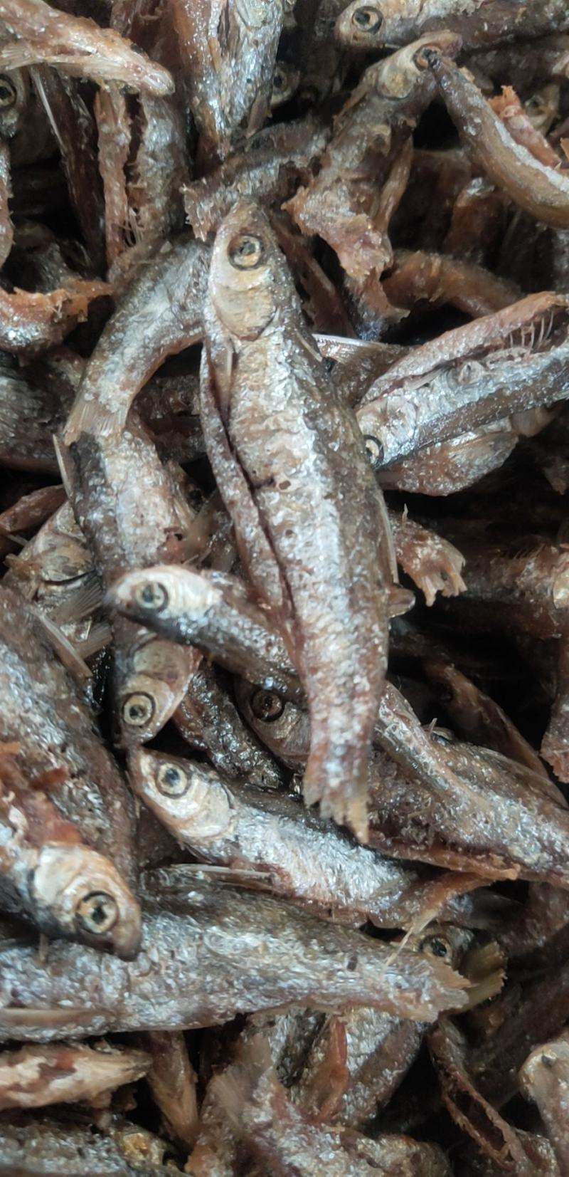 油炸开肚白肖鱼油炸