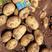 V7土豆大量上市中，纯沙土地货品，品质保证！榆林沙漠土豆