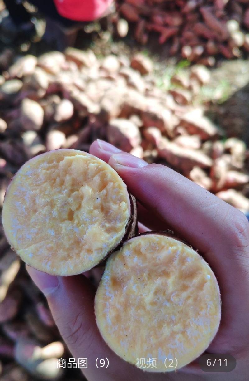 湖北红薯西瓜红、龙九大量上市