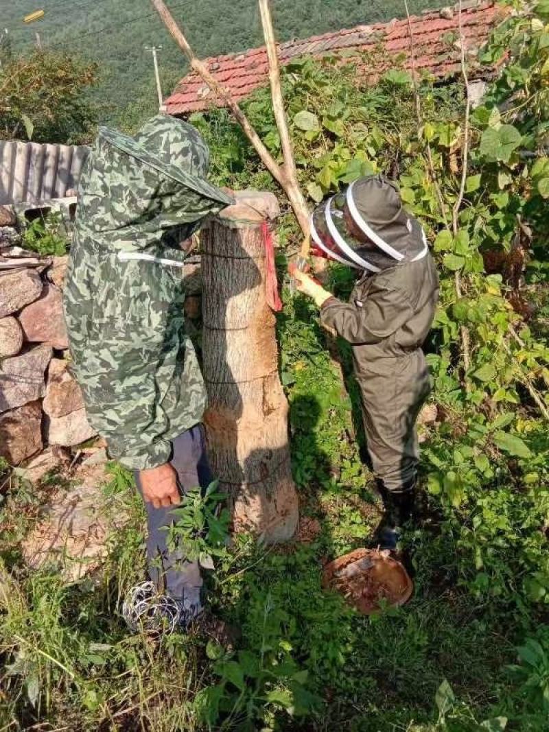 纯正东北野蜂蜜假一赔十。
