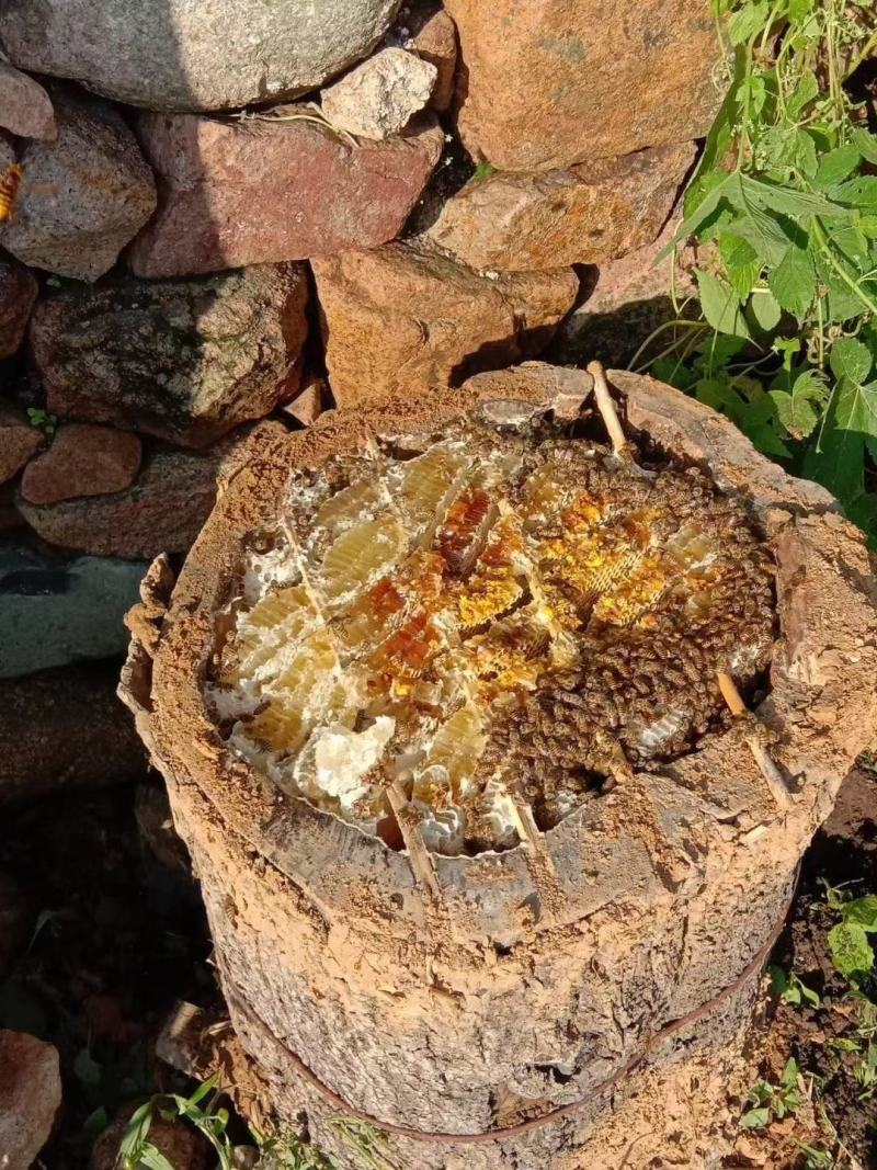 纯正东北野蜂蜜假一赔十。