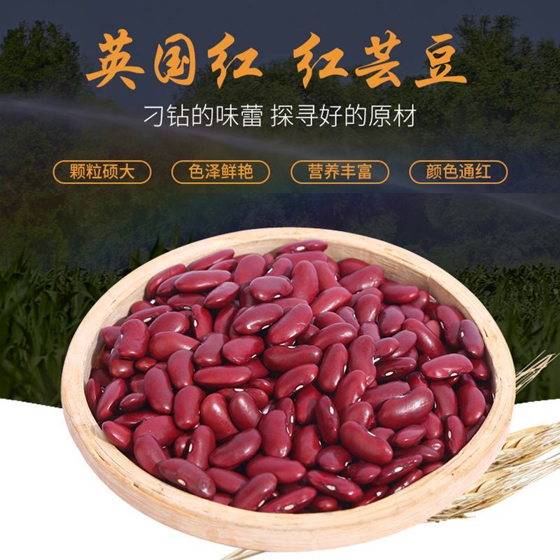 红芸豆现货批发红芸豆腰豆大红豆煲粥煮汤袋装50斤