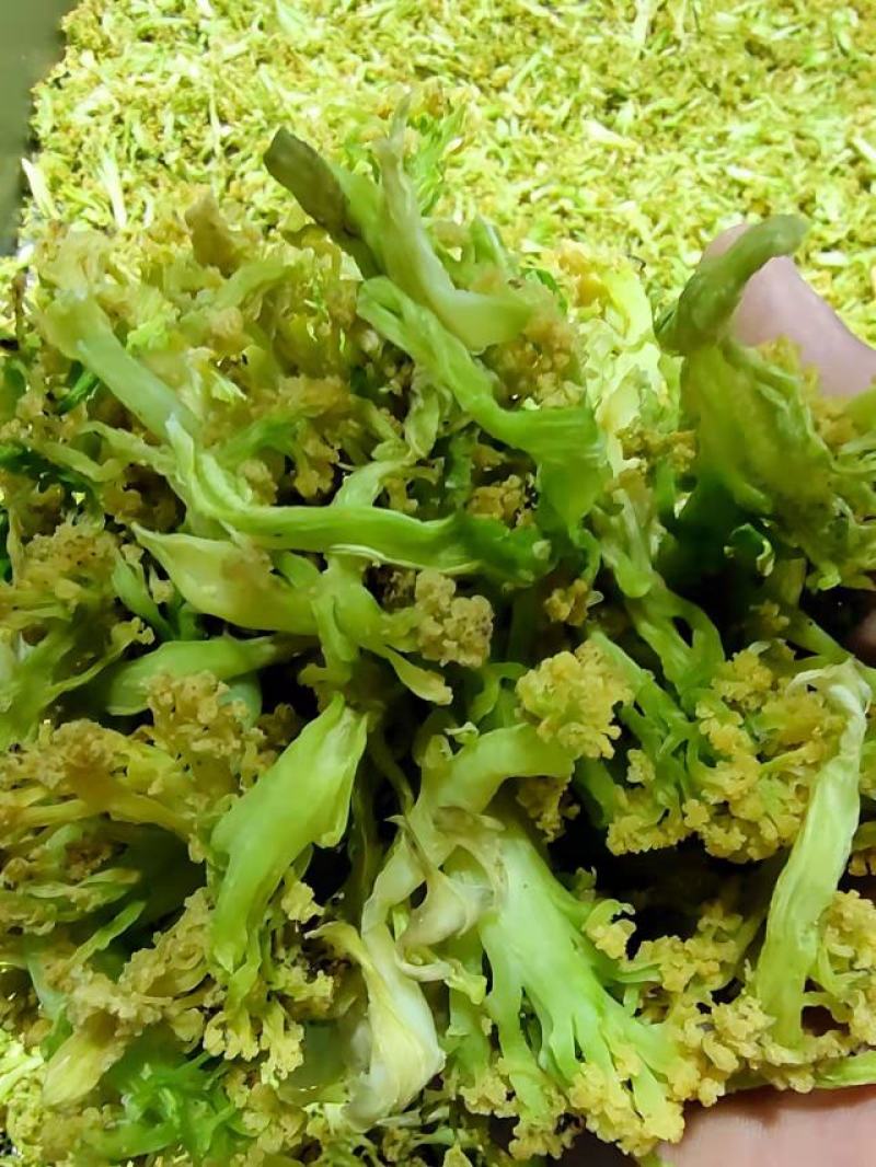 脱水有机花菜干花菜品质保证诚信经营一手货源欢迎采购