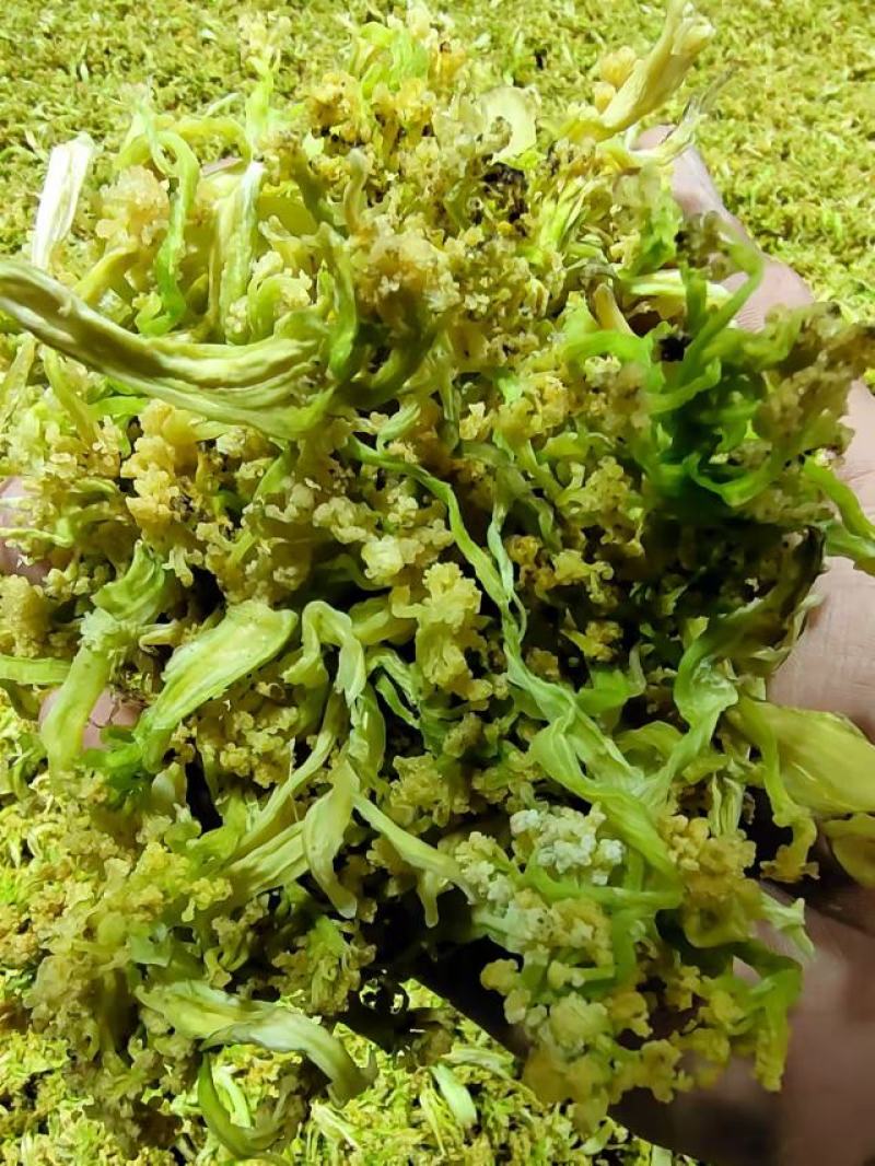脱水有机花菜干花菜品质保证诚信经营一手货源欢迎采购