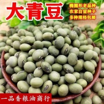 青豆现货供应大粒青豆，泡菜搅渣大青豆袋装50斤