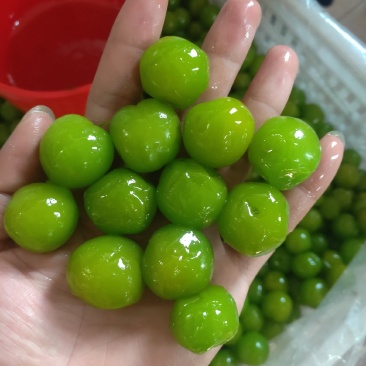 李子干翡翠李子蜜饯果脯