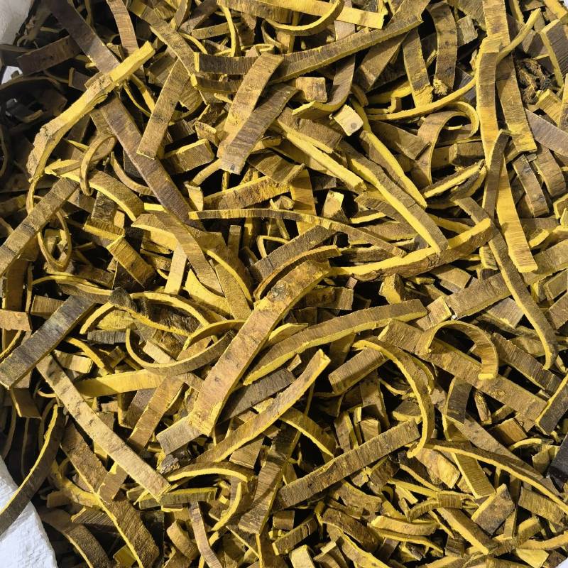 川黄柏去皮精选货黄柏实物拍摄物美价廉重在品质