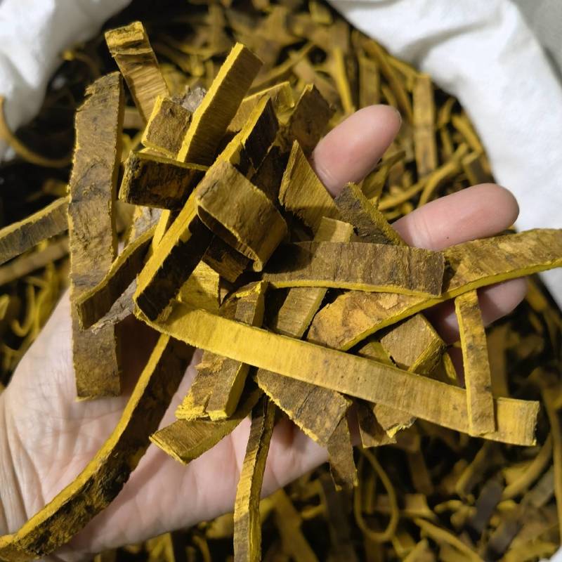 川黄柏去皮精选货黄柏实物拍摄物美价廉重在品质