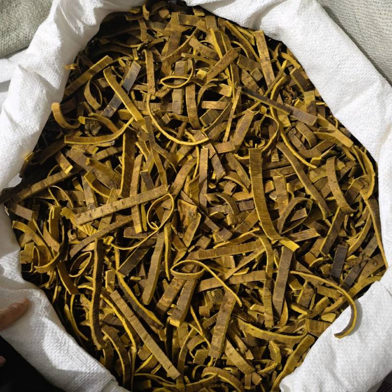 川黄柏去皮精选货黄柏实物拍摄物美价廉重在品质
