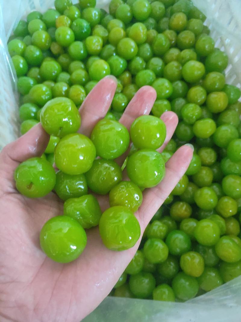 李子干翡翠李子蜜饯果脯