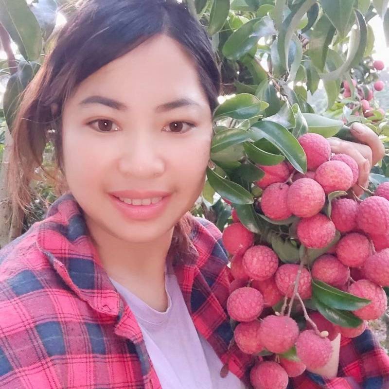 麻垌荔枝六月红荔枝情人荔大量上市【产地代办代发】货好价低