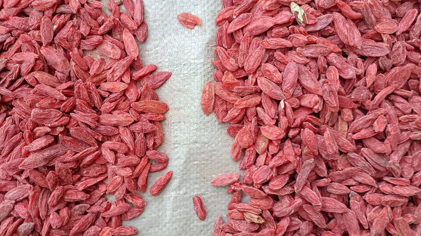 蚕豆与枸杞、红枣等中药材一起泡水饮用的画面 蚕豆与其他药材搭配泡水的照片