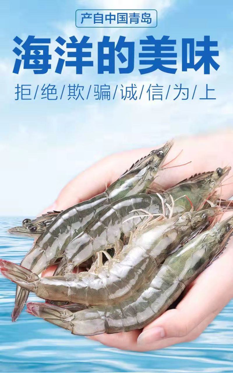 新鲜超大鲜活基围虾一件4斤青岛大虾【顺丰包邮】