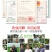 奥丰生根养地套餐生根壮苗改良土壤抗重茬抑菌防病冲施肥