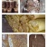仙科灵芝养殖基地常年大货供应各个品种的灵芝孢子粉原粉