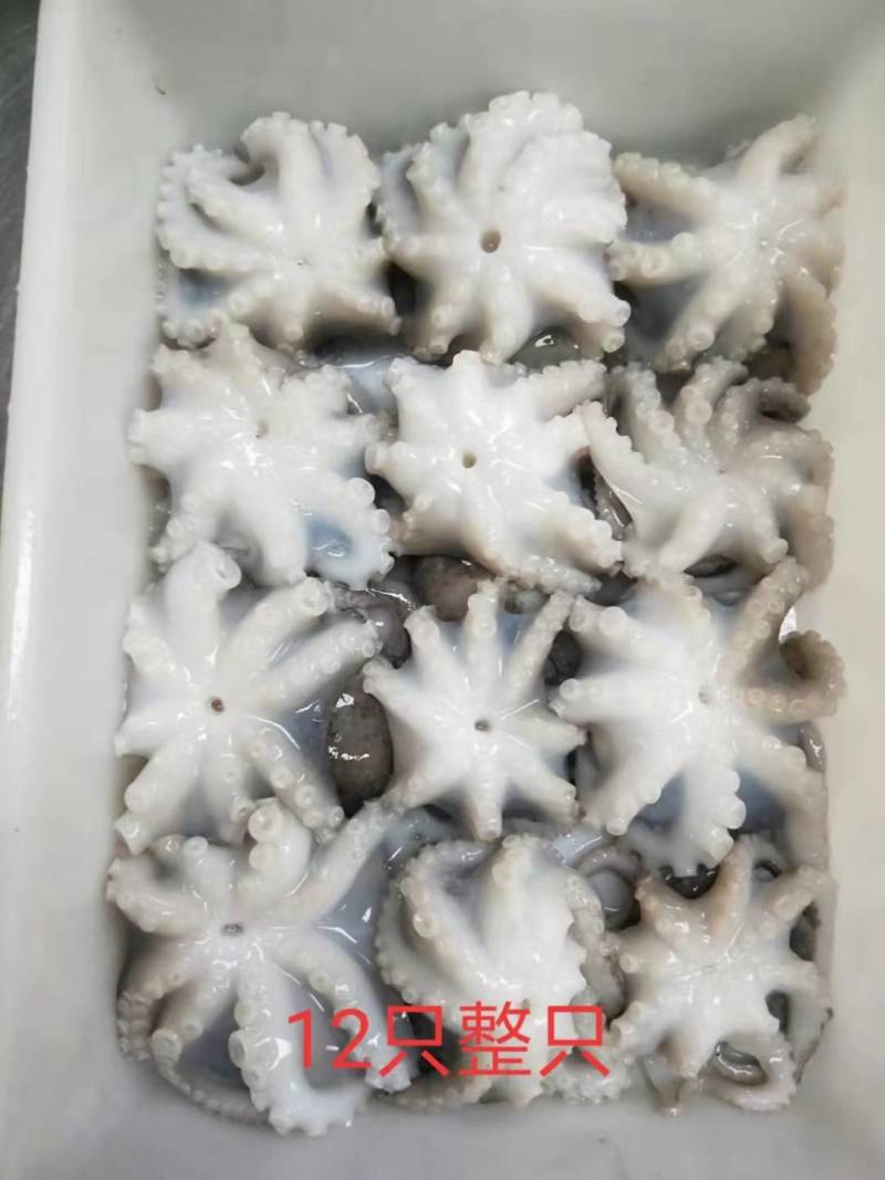 三去八爪章鱼