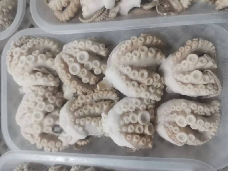 三去八爪章鱼