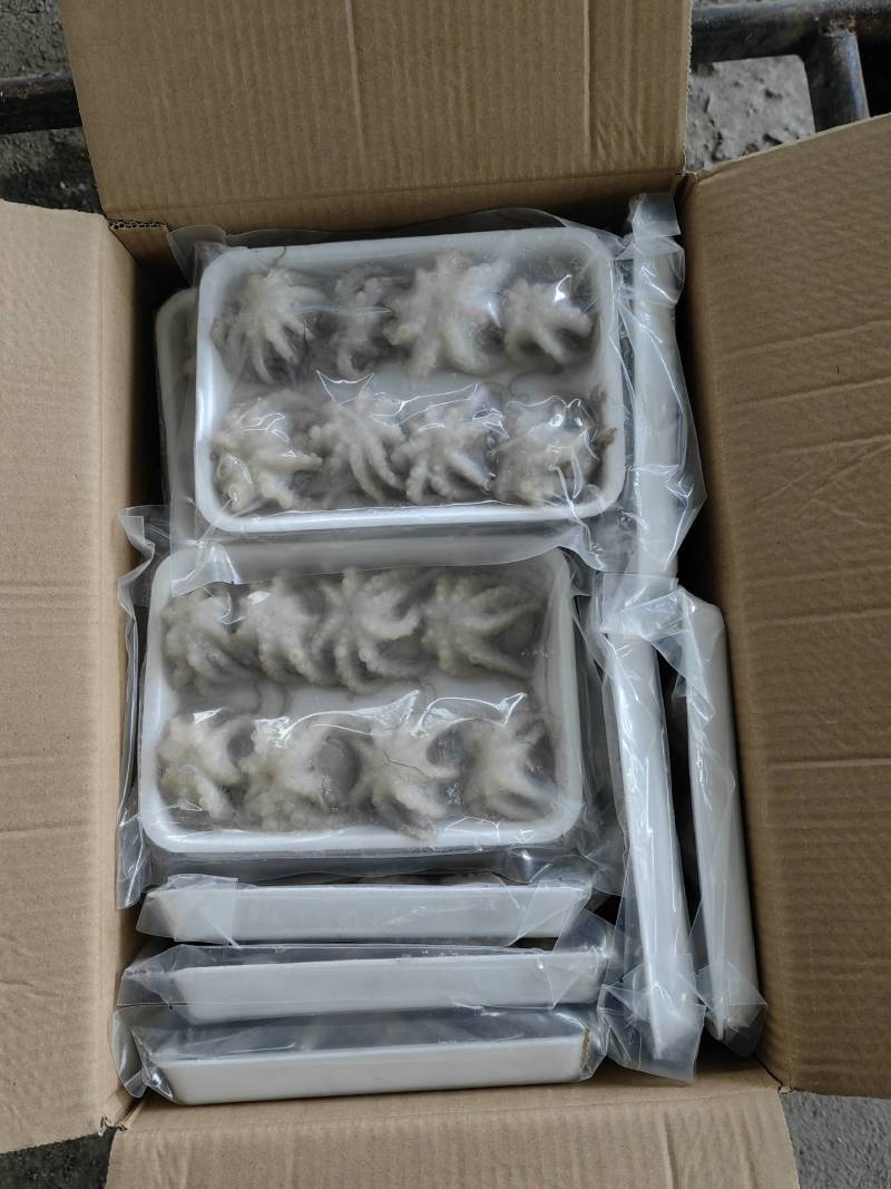 三去八爪章鱼