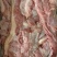 出售乳牛肉，前腿肉，后腿肉，牛排，脊骨，前腿，棒骨，欢迎