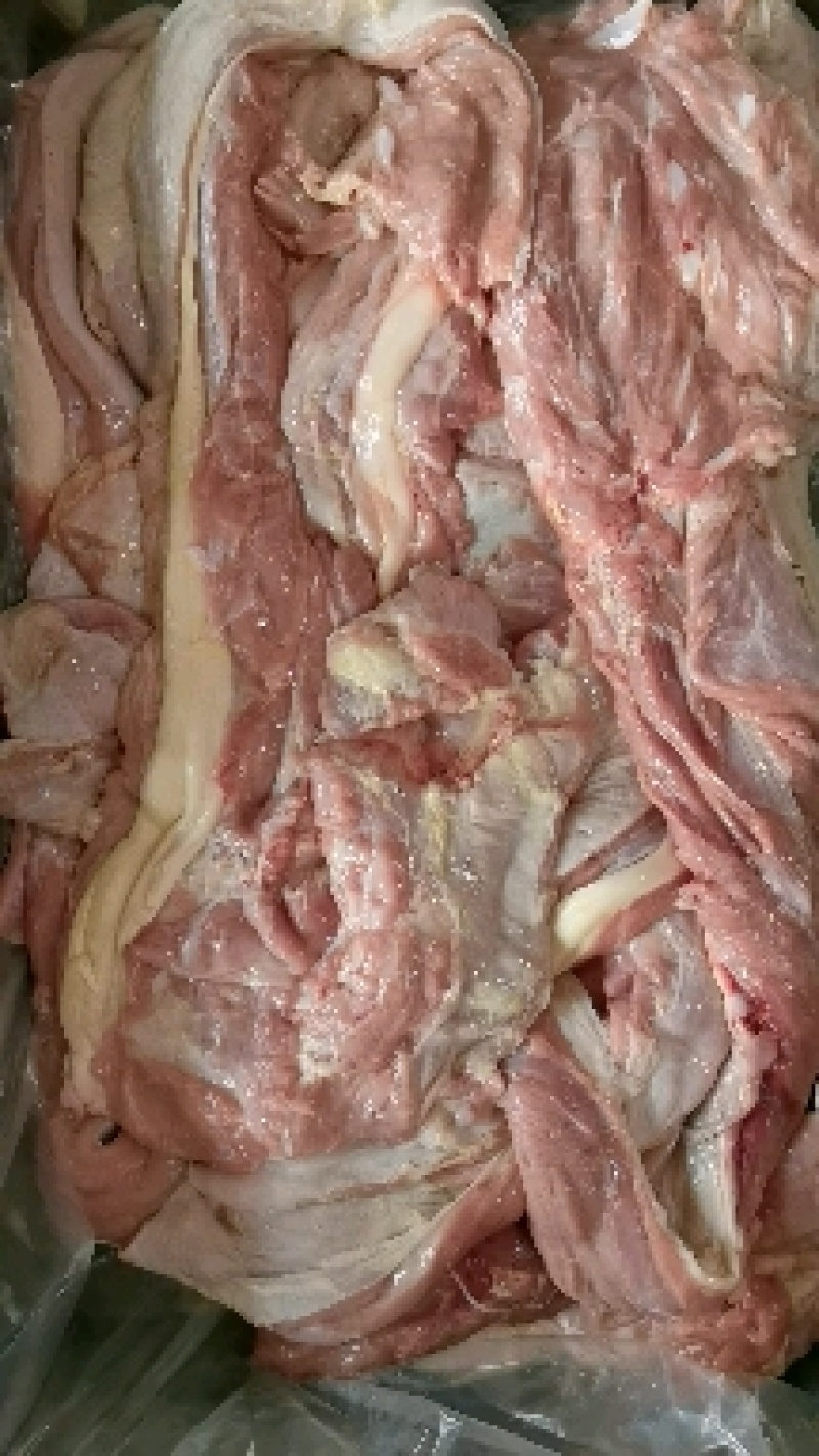 出售乳牛肉，前腿肉，后腿肉，牛排，脊骨，前腿，棒骨，欢迎