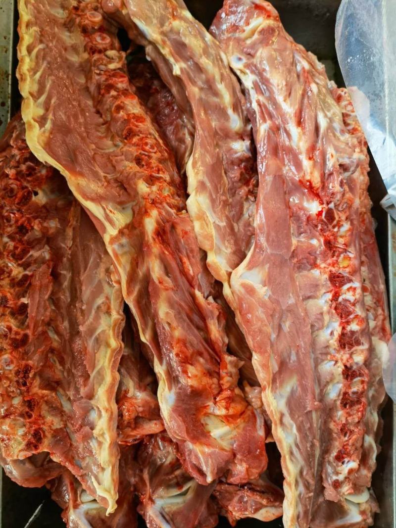 出售乳牛肉，前腿肉，后腿肉，牛排，脊骨，前腿，棒骨，欢迎