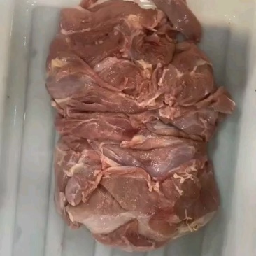出售乳牛肉，前腿肉，后腿肉，牛排，脊骨，前腿，棒骨，欢迎
