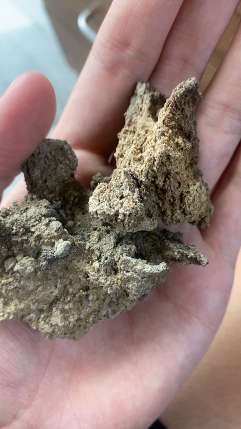 水泥地晾干淀粉40-50灰分13水分13土豆渣