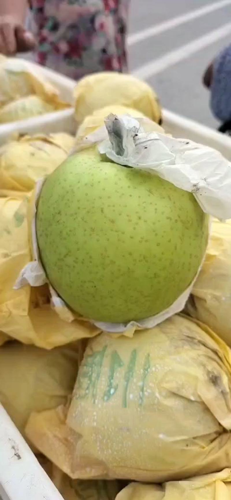 纸袋翠玉梨。六两以上，汁多甘甜，果面干净，产地直销！