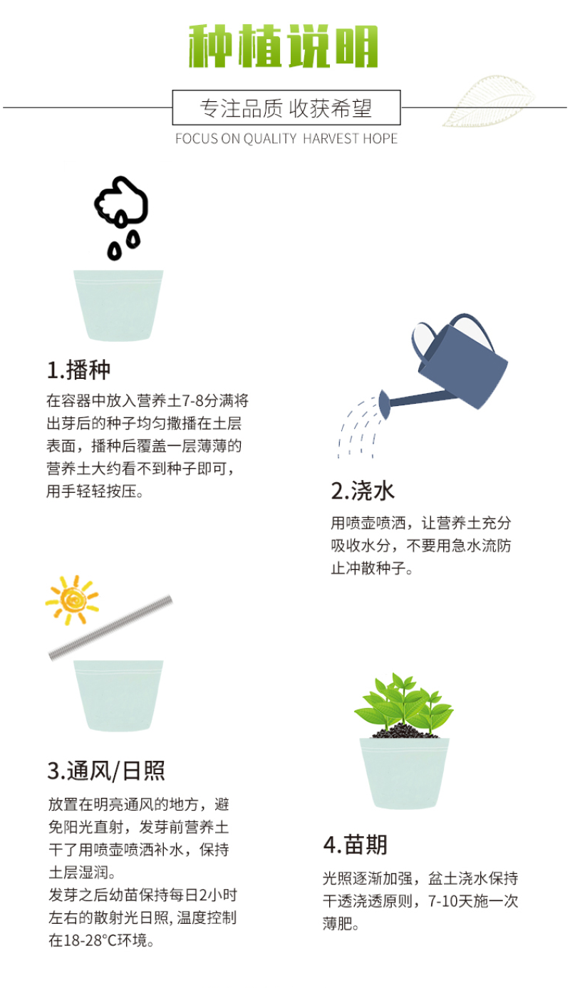 长春花种子混色日日春四季开花易活室内室外庭院花籽盆栽花卉