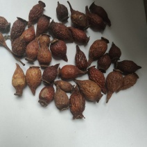 金樱子肉批发零售品种齐全