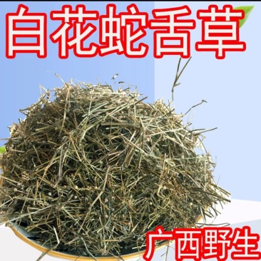 白花蛇舌草蛇草干净无杂质无霉地道中药材白花蛇舌草