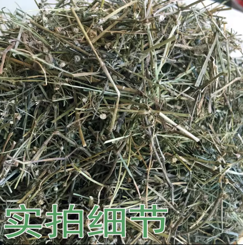 白花蛇舌草蛇草干净无杂质无霉地道中药材白花蛇舌草