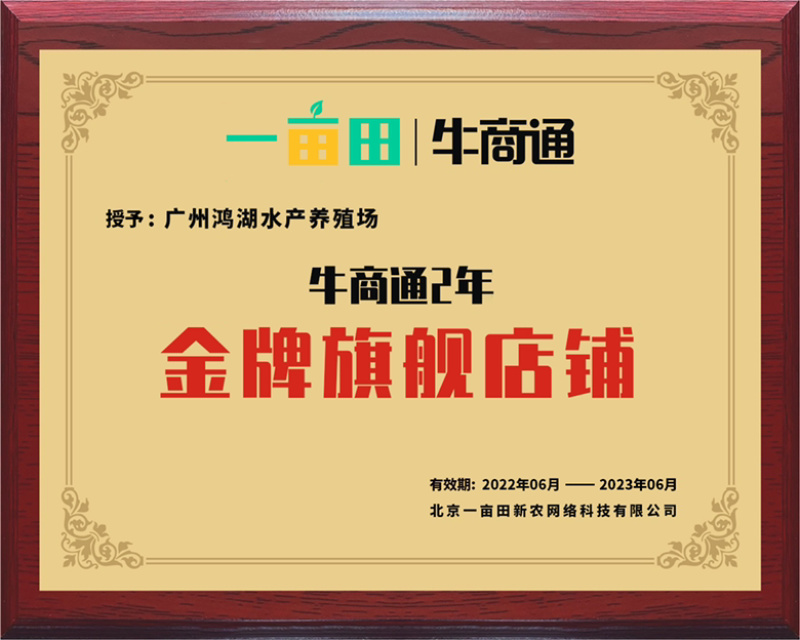 鲈鱼苗加州鲈鱼苗优鲈3号大口黑鲈淡水鱼苗
