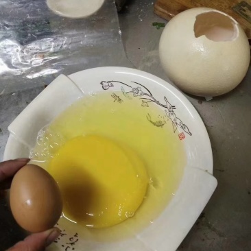 鸵鸟蛋