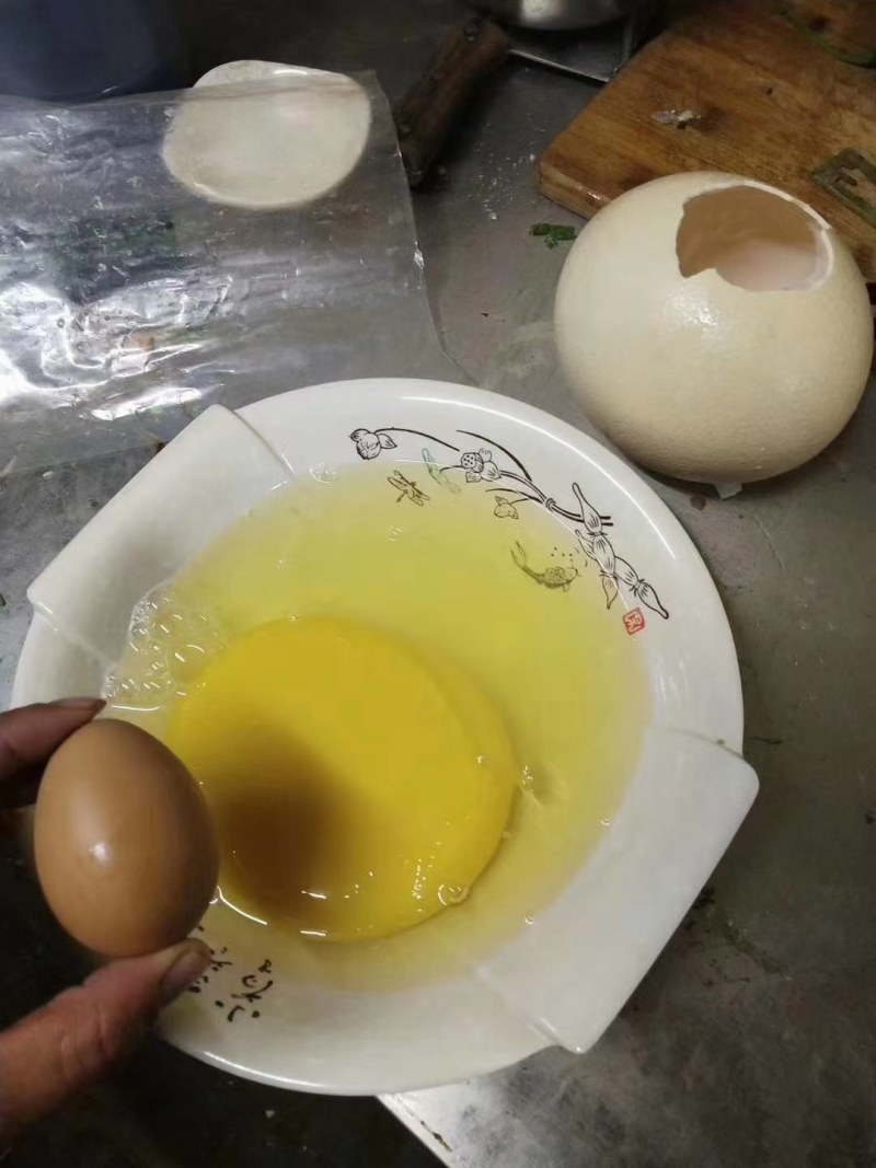 鸵鸟蛋
