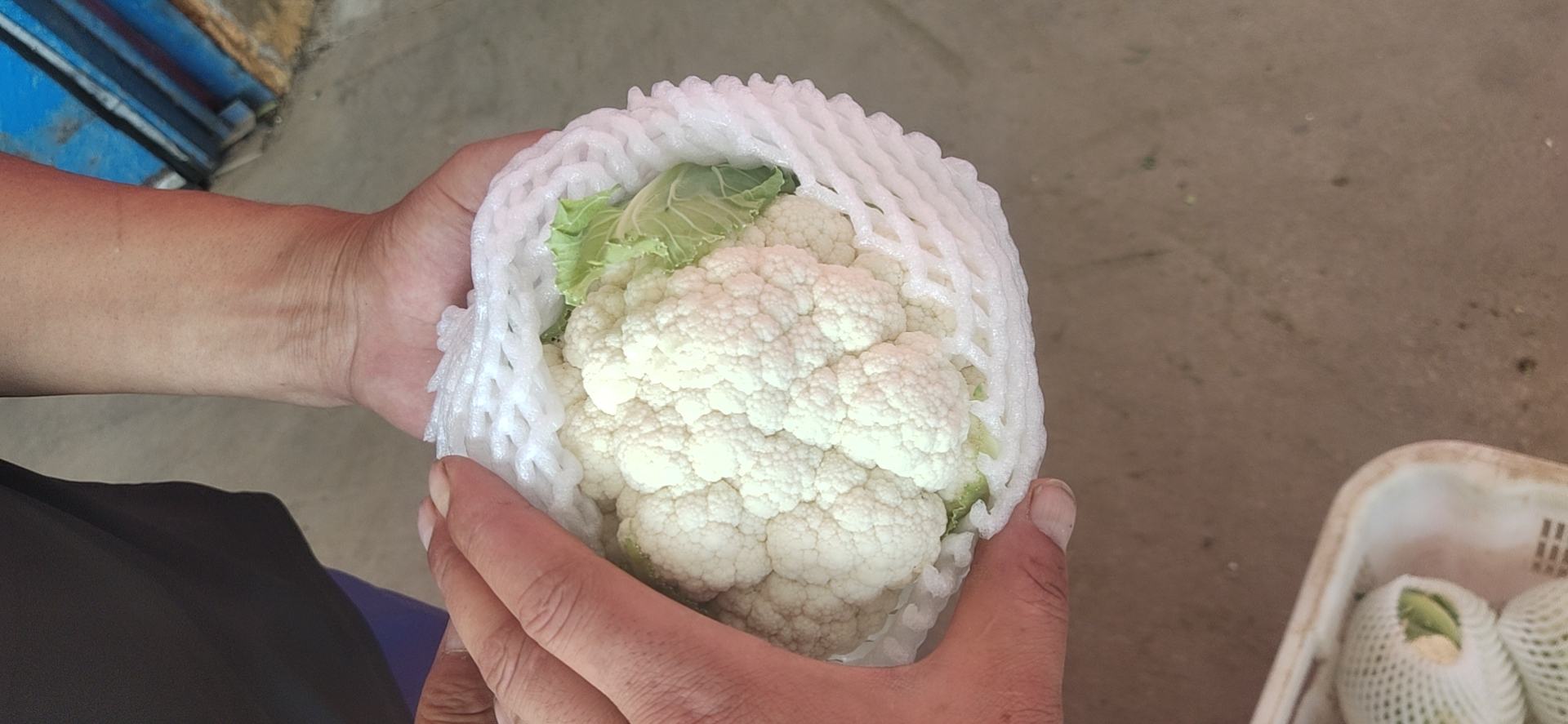 生菜与西兰花在超市货架上的陈列图