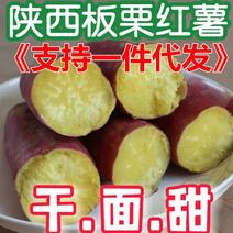 【支持一件代发】陕西板栗红薯临潼北田红苕地瓜好吃