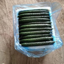每天一两车，按时发货