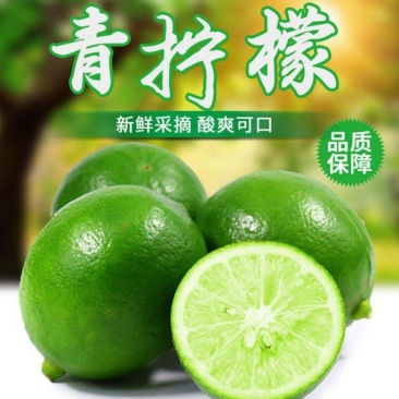重庆万州青柠檬上市，尤力克柠檬，大量供应电商平台。