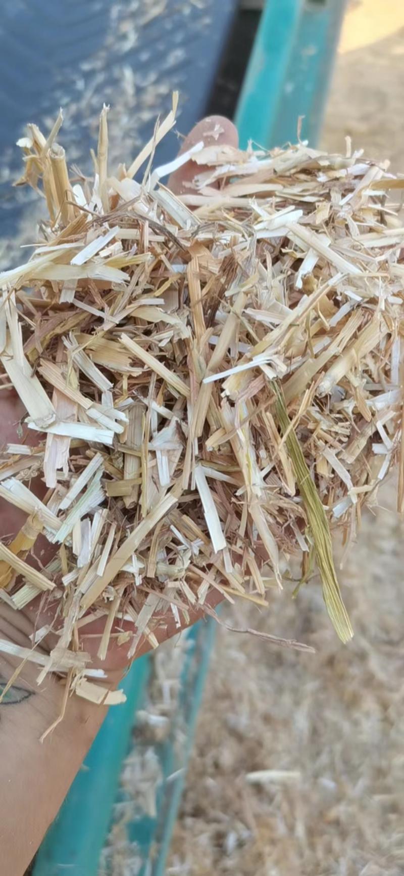 【推荐】河南小麦秸秆牛羊牧草饲料黄贮无杂质大量供应
