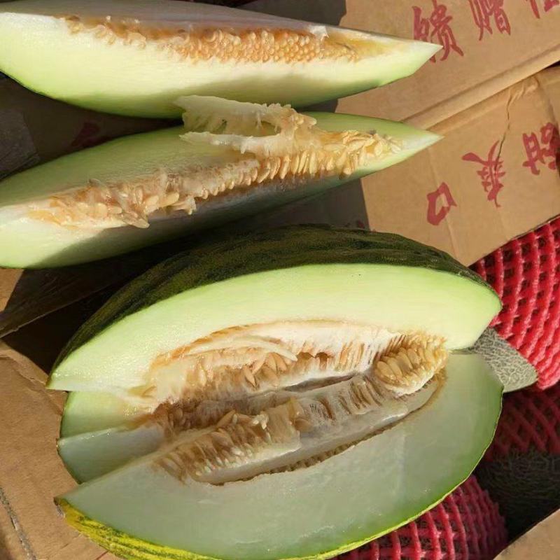 斗牛士蜜瓜