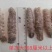 皮皮虾。虾爬子