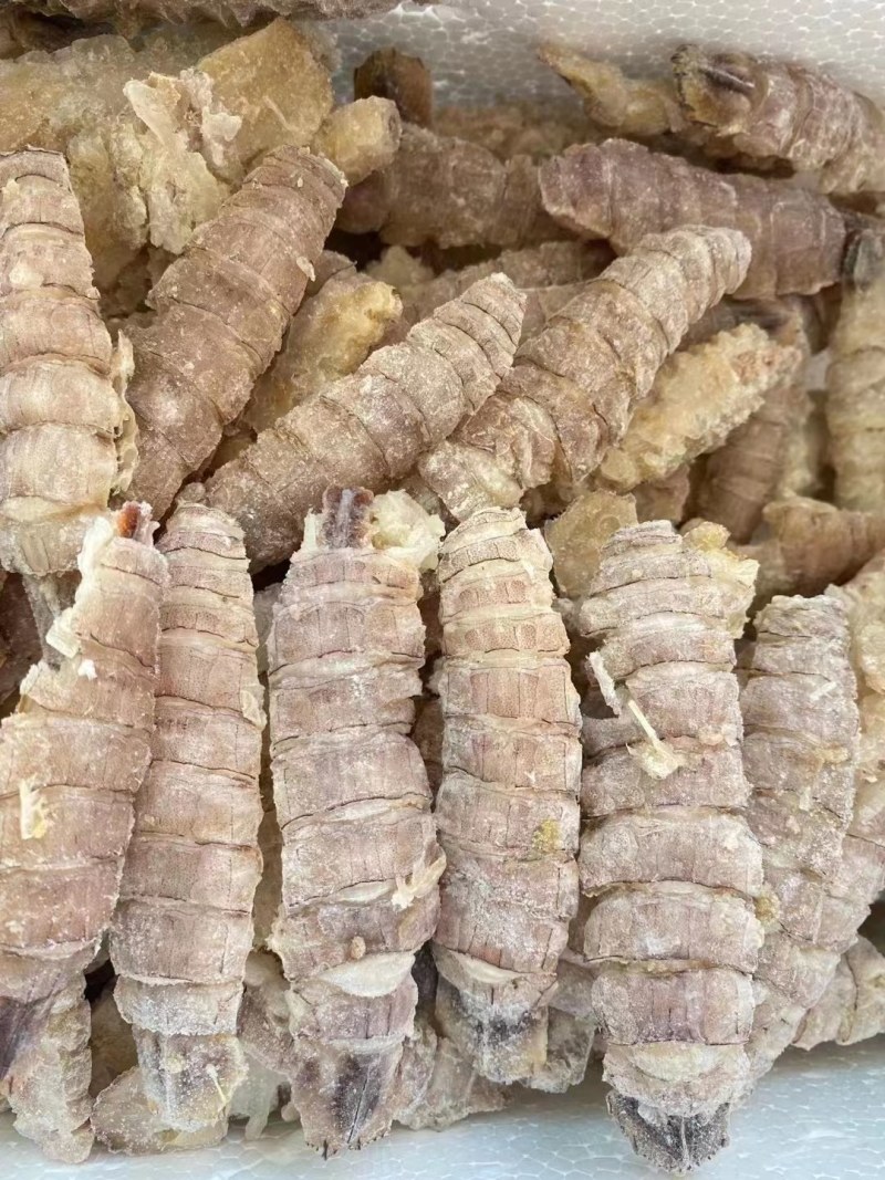 皮皮虾。虾爬子