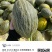 斗牛士蜜瓜