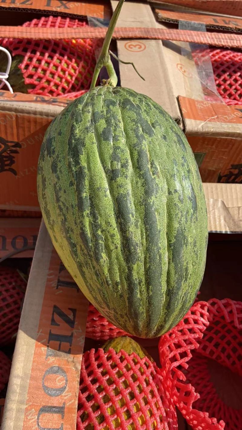 斗牛士蜜瓜