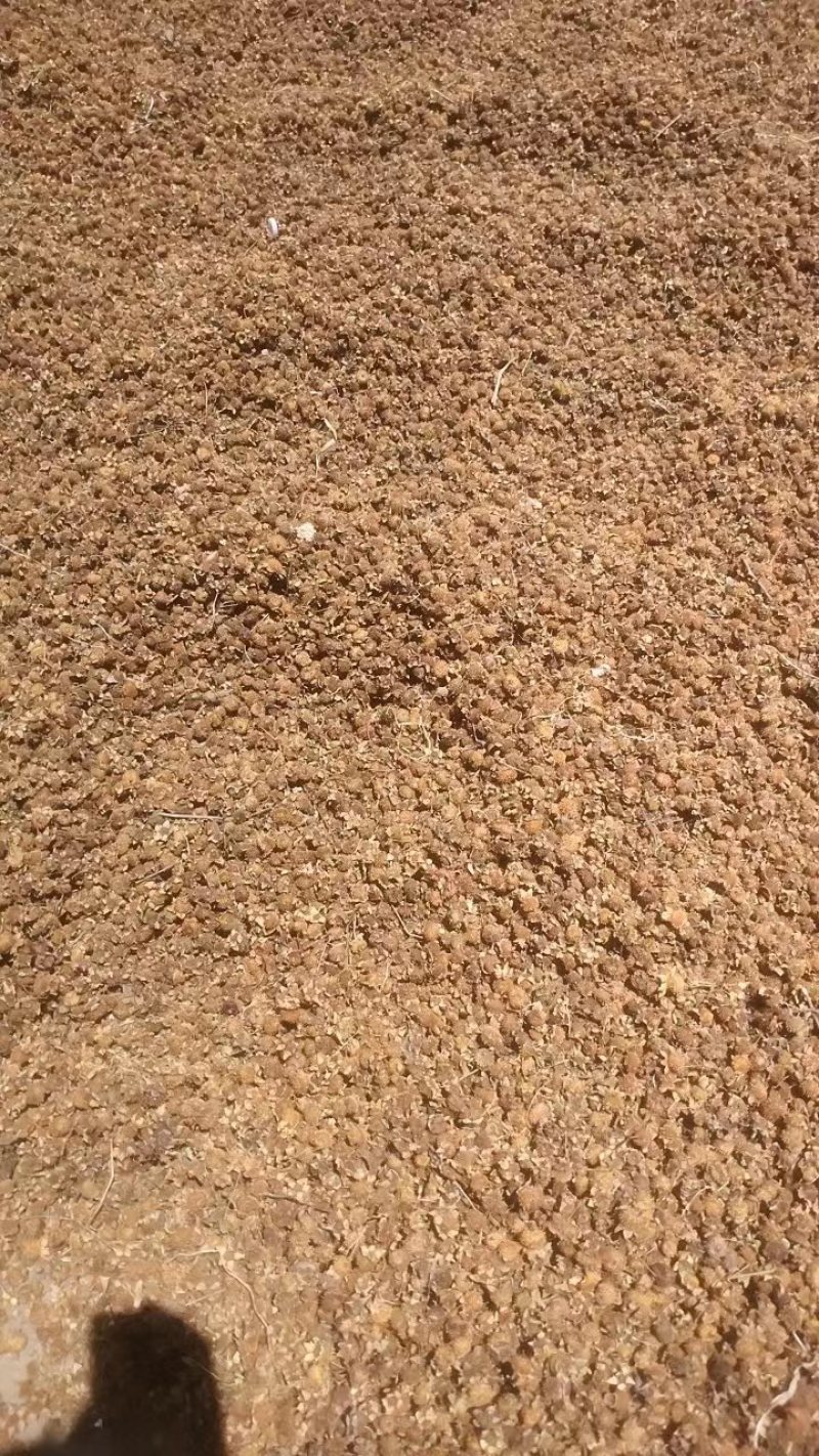 刺梨