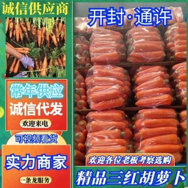 【实力】开封精品三红胡萝卜，胡萝卜，全国发货，价格合理