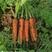 精品三红胡萝卜，保证质量，全国发货，量大从优，价格合理