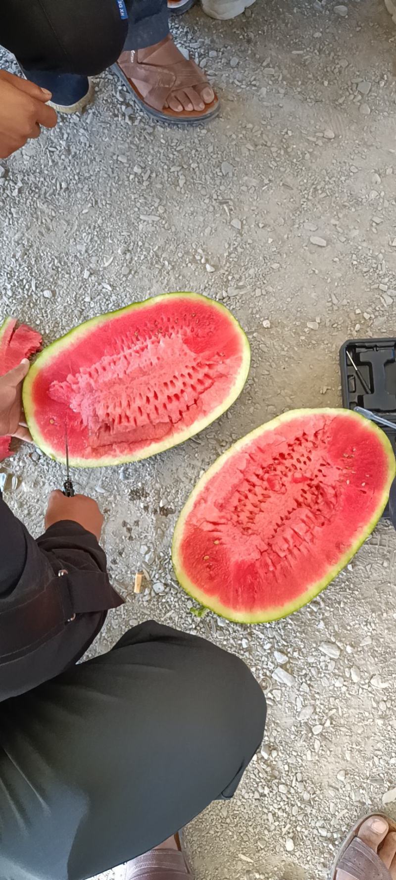 精品硒砂瓜