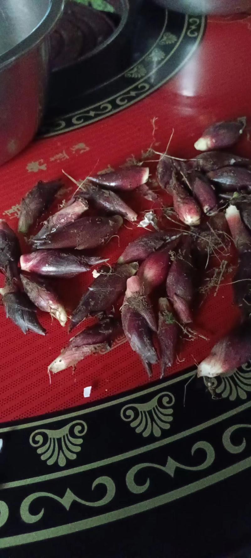阳荷姜，别名野良姜，野姜，天然绿色无公害食品。